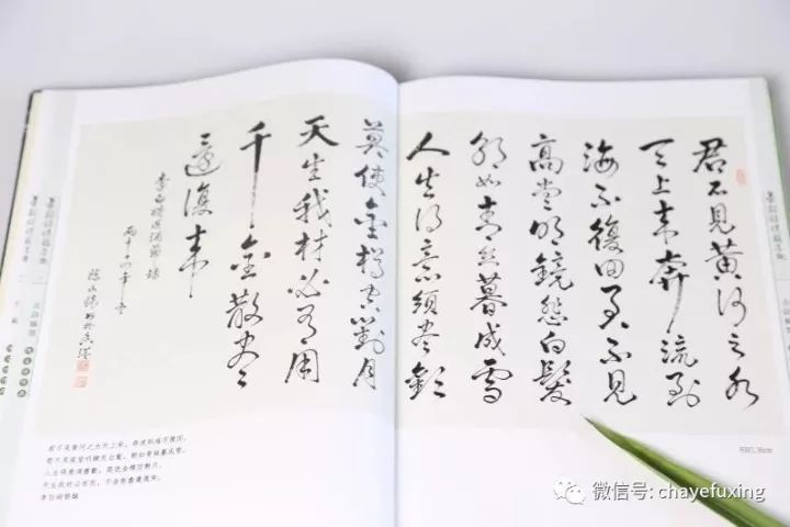 《茶韵诗情翰墨趣》 陈文怀著，刘祖生作序，陈宗懋、屠幼英、王岳飞等加持-图片2